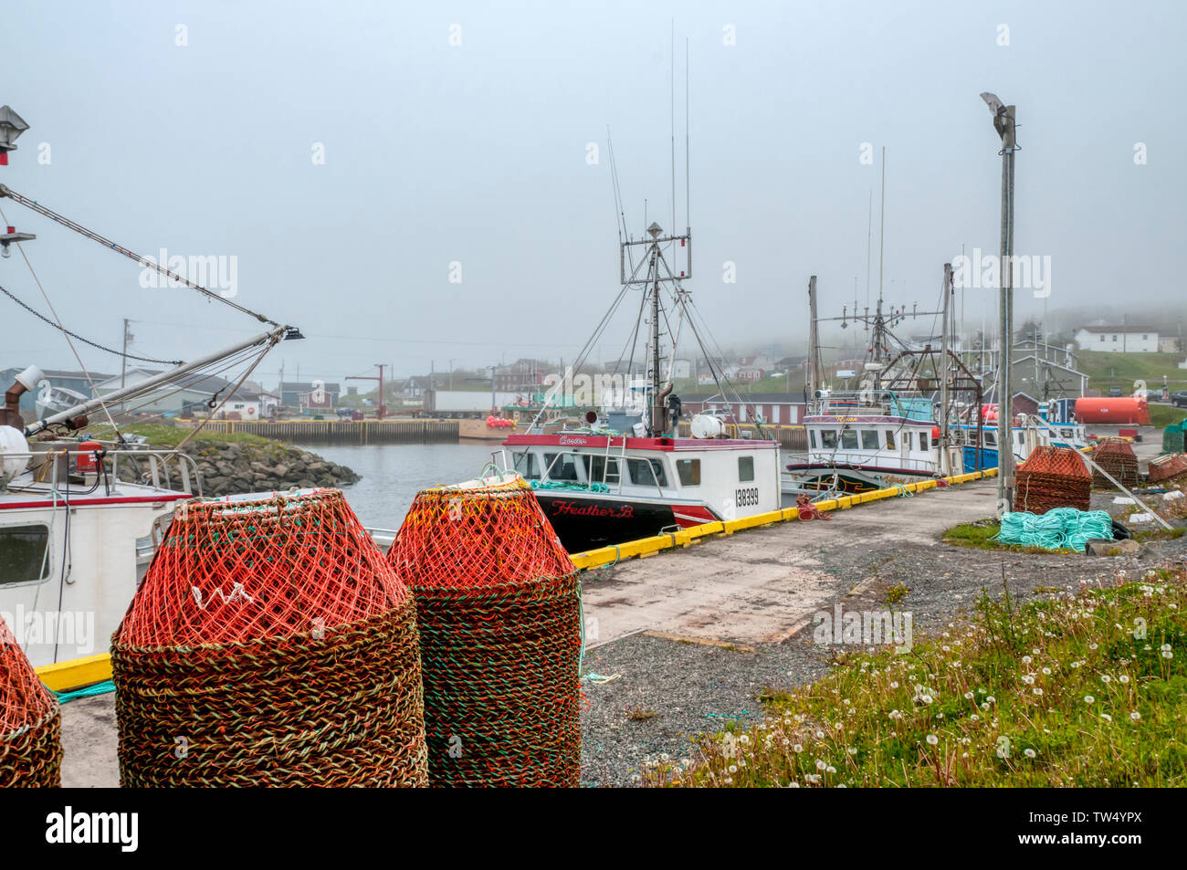 Fishing boats moored up in Branch harbour in fog, Newfoundland Stock Photo