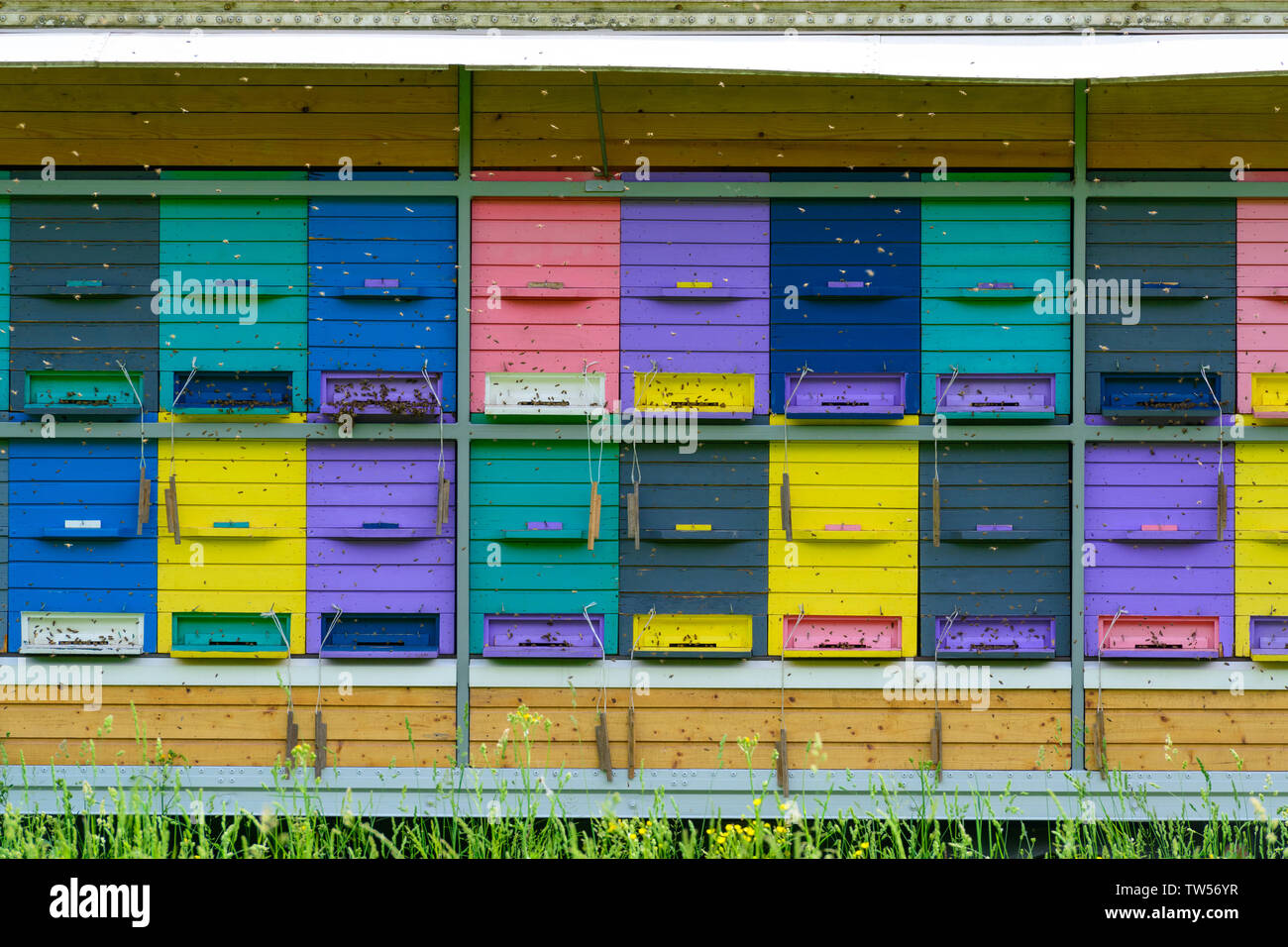 Colorful beehive on a trailer. Clean organic honey keeping in Slovenia Stock Photo