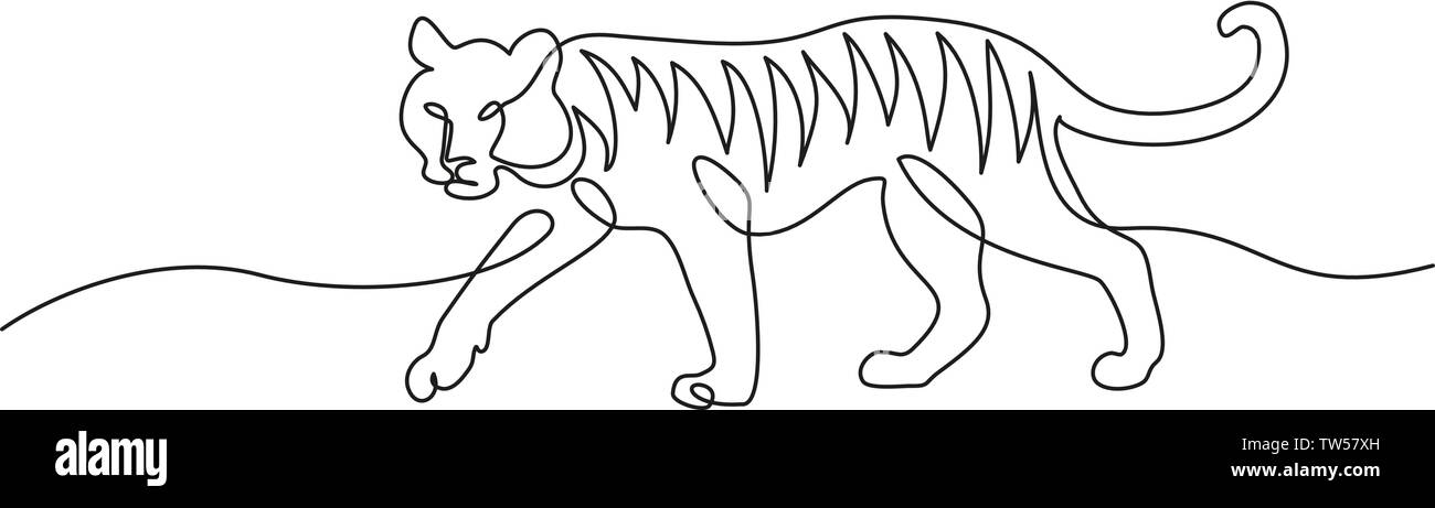 Continuous one line drawing. Tiger walking. Vector illustration Stock Vector