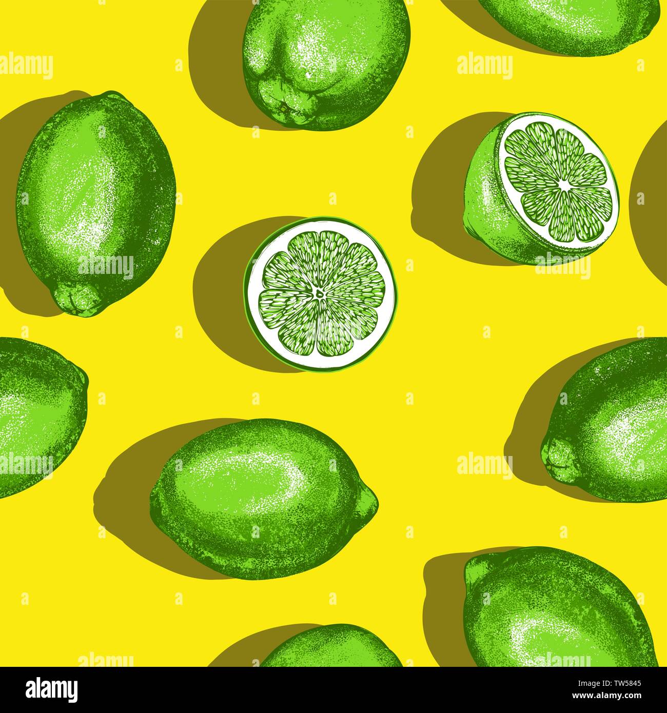 fruit lime seamless texture, Wallpaper, background hand drawn vector illustration sketch color Stock Vector