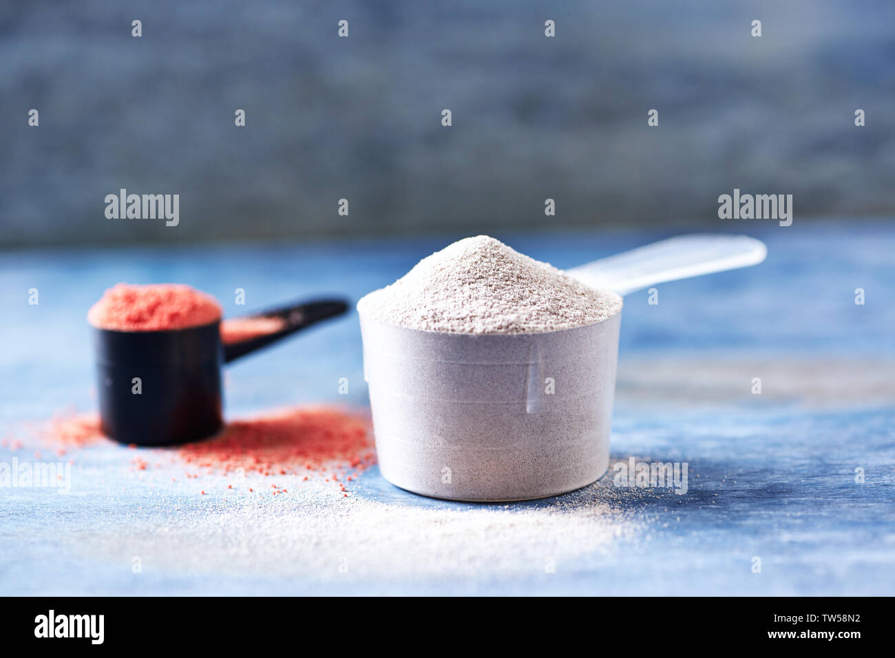 https://c8.alamy.com/comp/TW58N2/scoop-of-whey-protein-and-creatine-powder-sport-nutrition-TW58N2.jpg