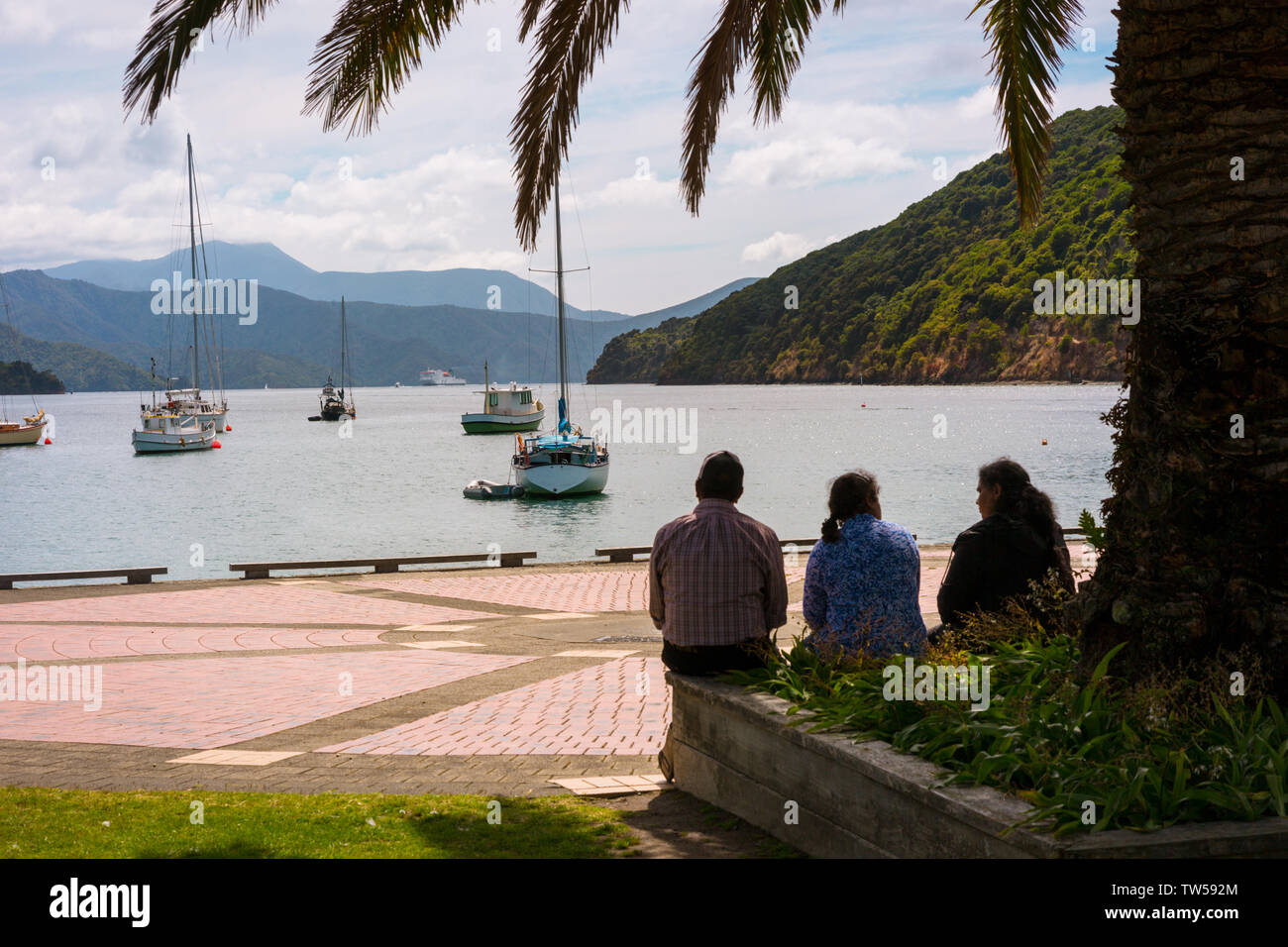 Marina, Picton ferry port and town, South Island, New Zealand Stock Photo