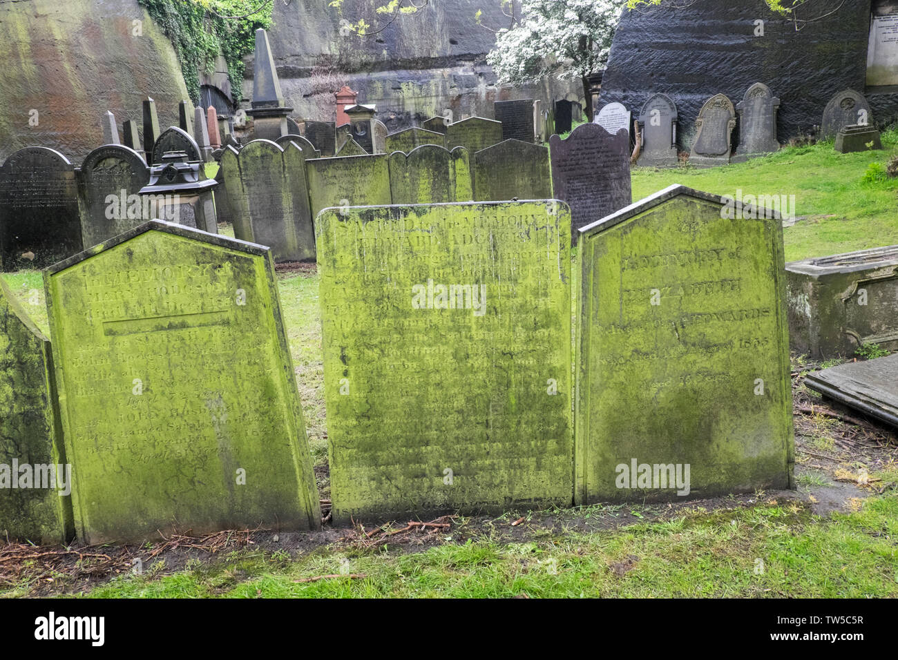 St James Gardens,graveyard,cemetery,gravestones,Anglican Cathedral,Liverpool,northern,north,city