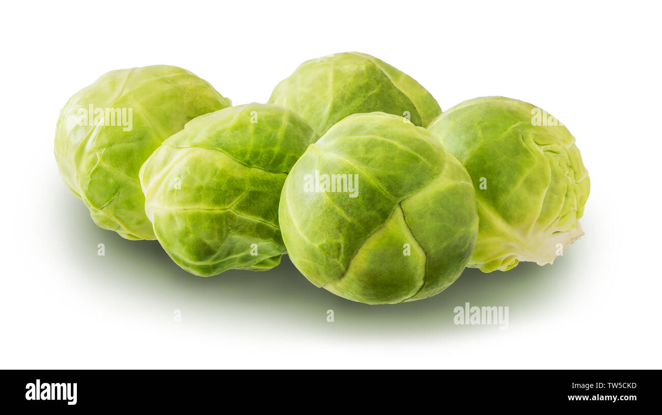 Brussels Sprouts Isolated on White Background Stock Photo