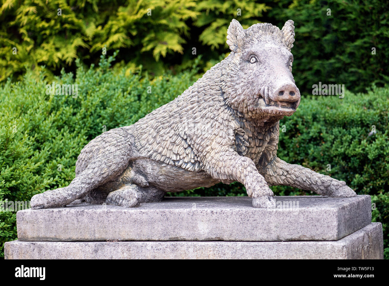 Garden statue made of concrete life size animal, wild boar pig, UK. Stock Photo