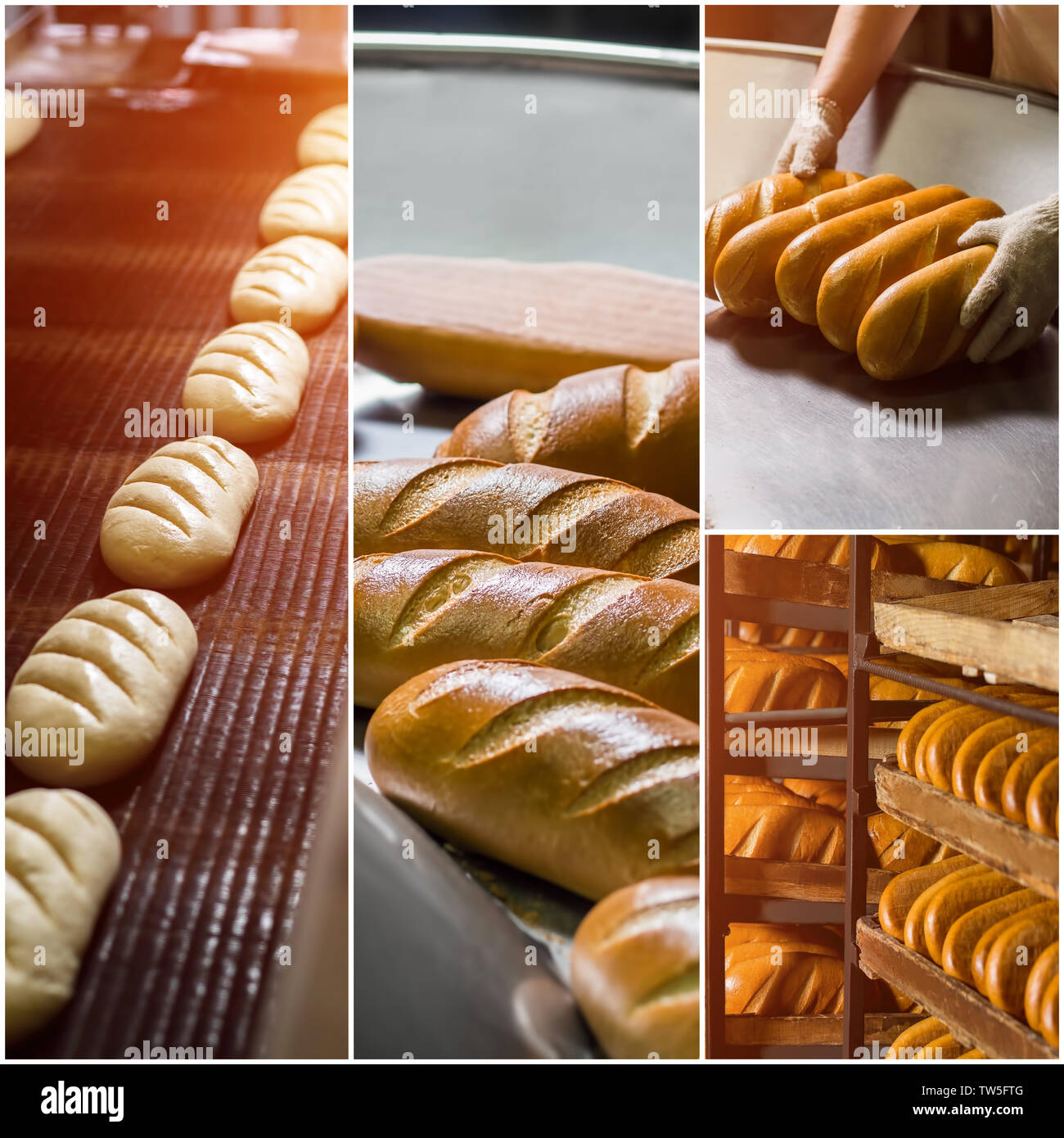 Process of bread baking collage Stock Photo Alamy