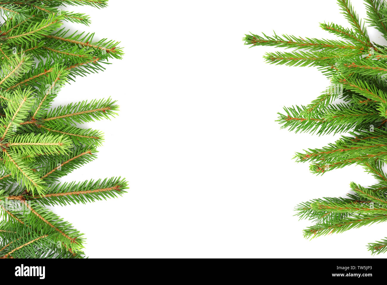 Christmas frame from fir branches on white background Stock Photo - Alamy
