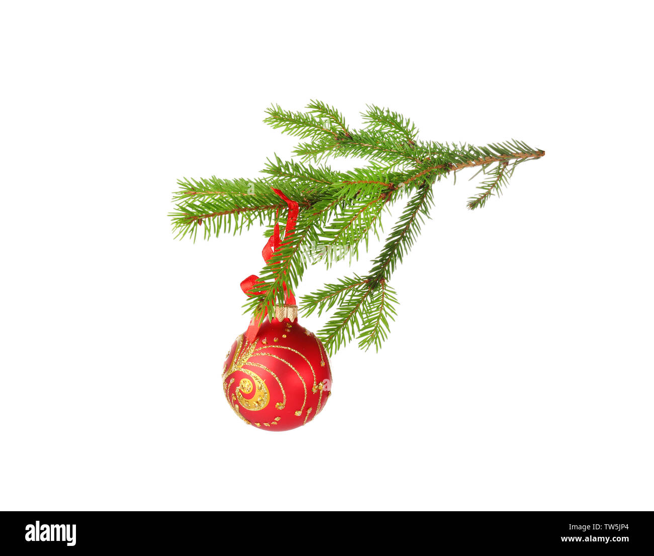 Christmas ball hanging on fir tree branch, isolated on white Stock ...
