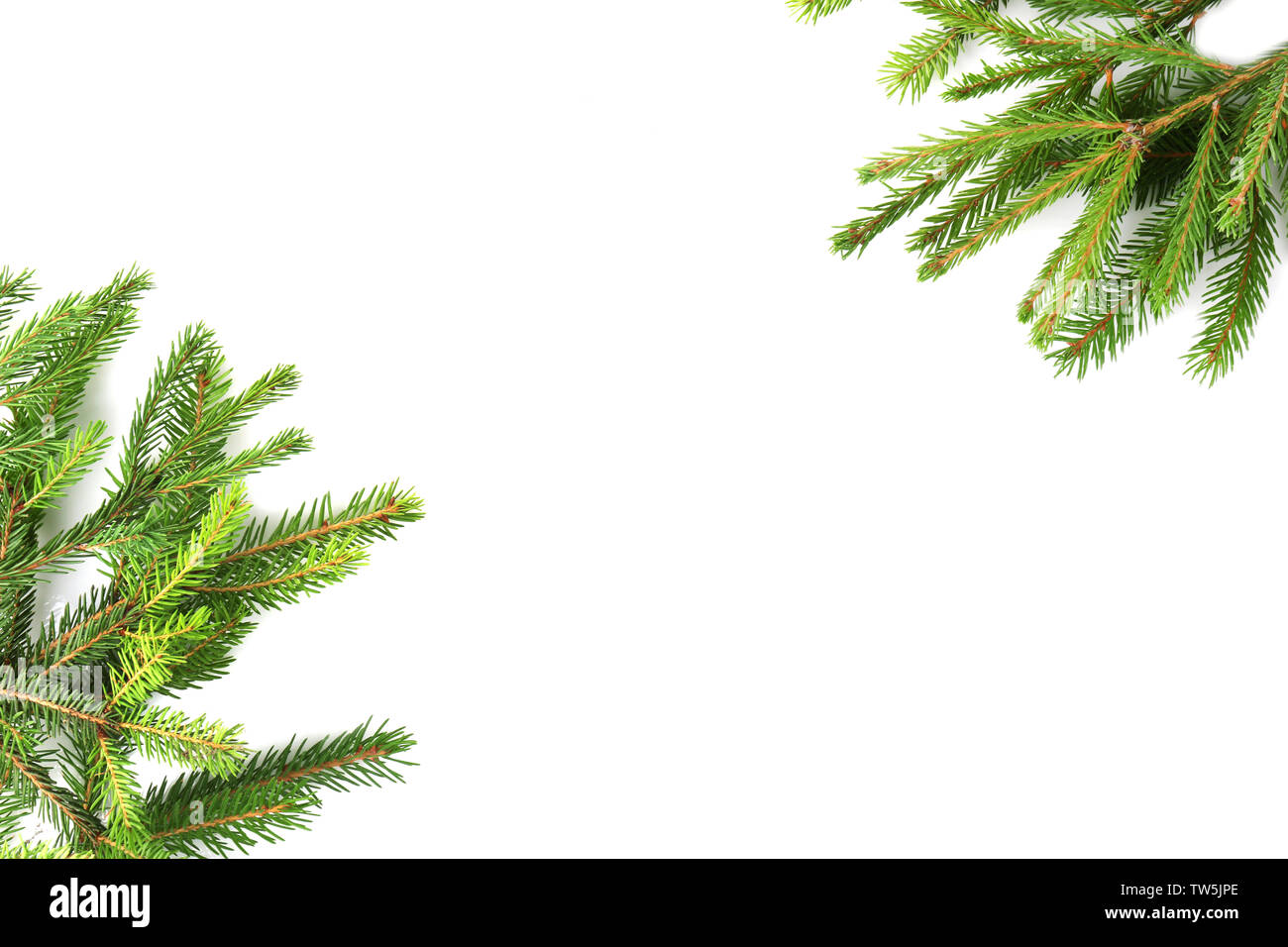 Christmas frame from fir branches on white background Stock Photo - Alamy