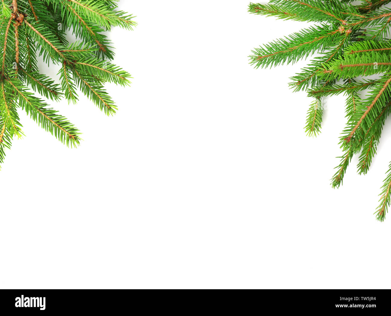 Christmas frame from fir branches on white background Stock Photo - Alamy