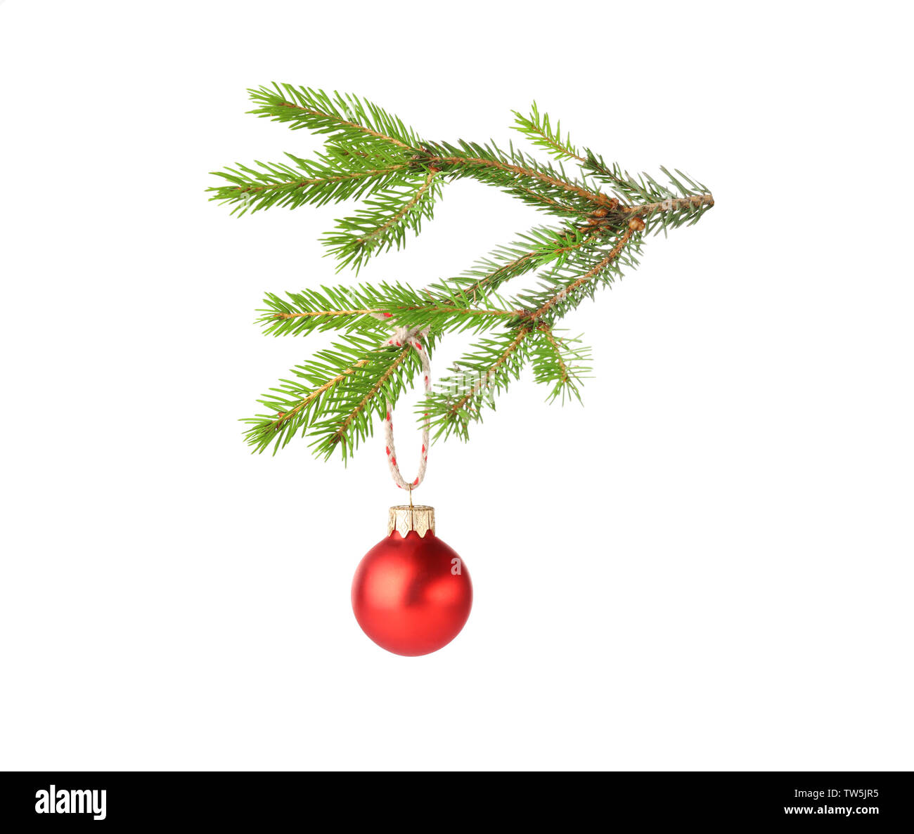 Christmas ball hanging on fir tree branch, isolated on white Stock ...