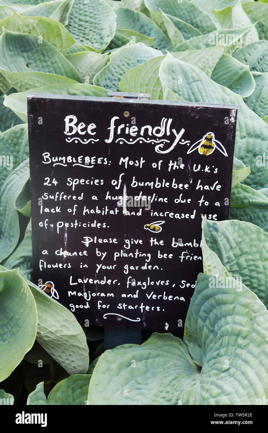 Handwritten sign about bee friendly plants Stock Photo