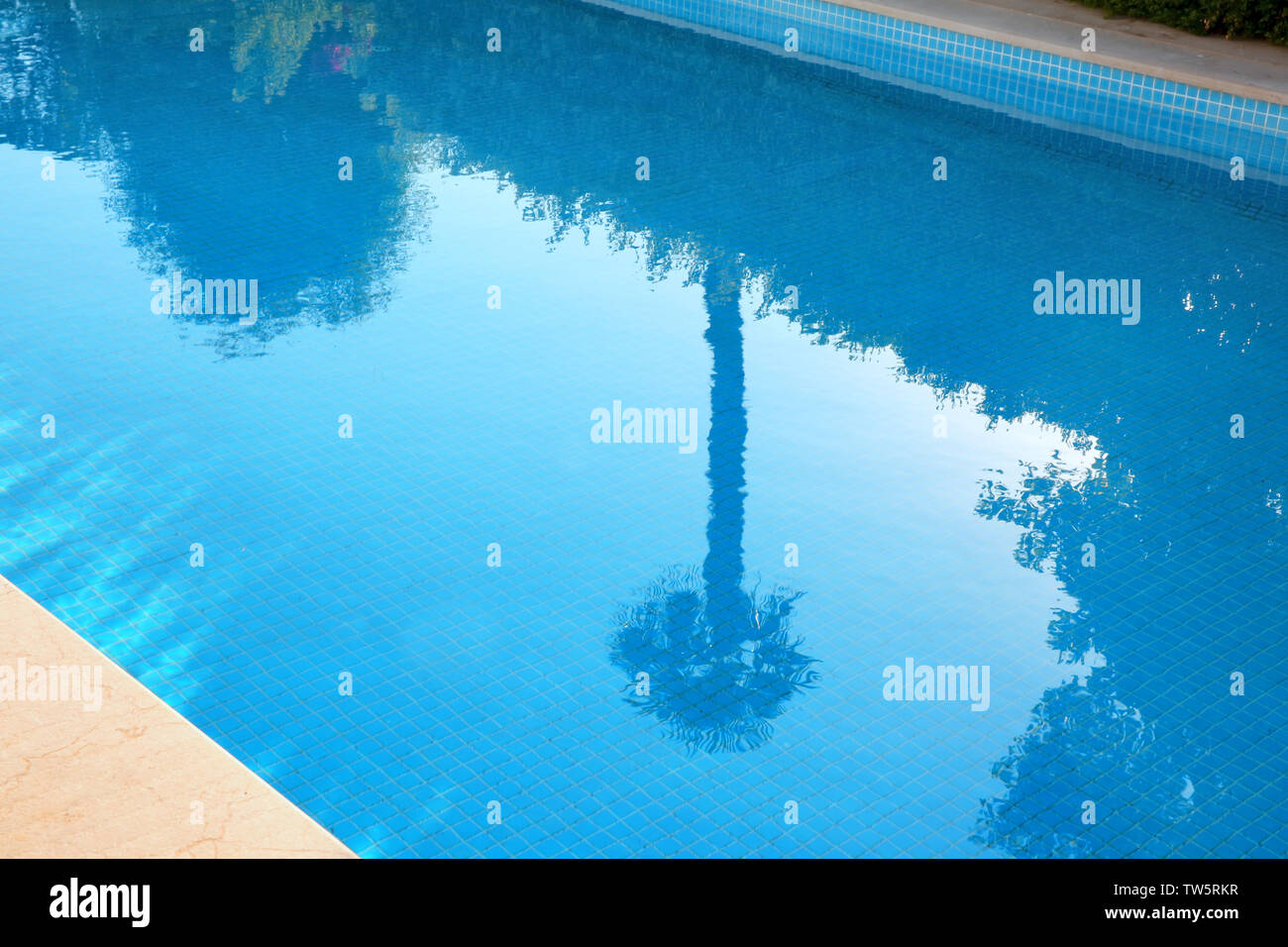 Clean blue water in swimming pool Stock Photo - Alamy