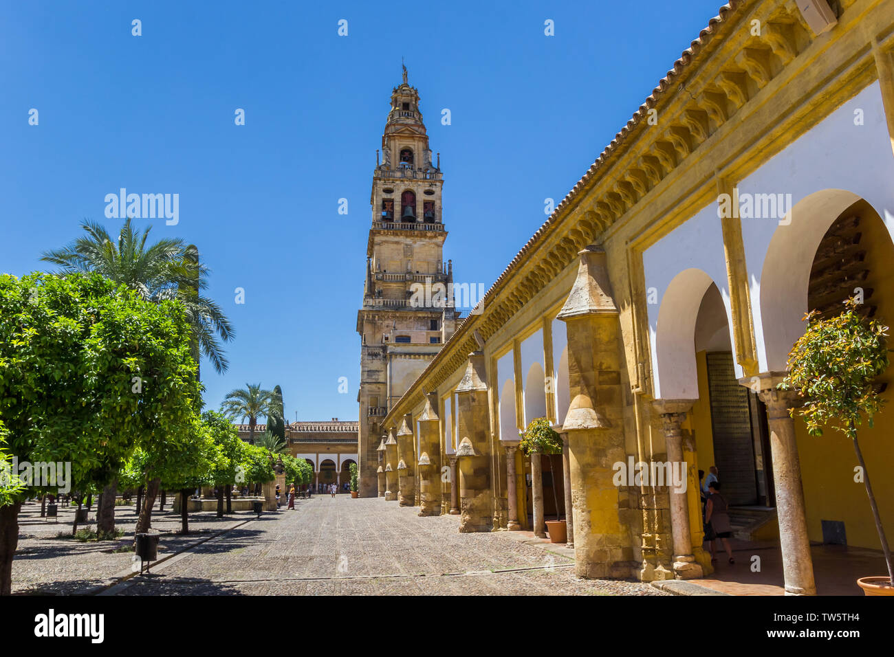 Bell tower at the courtyard of the mosque cathedral in Cordoba, Spain Stock Photo