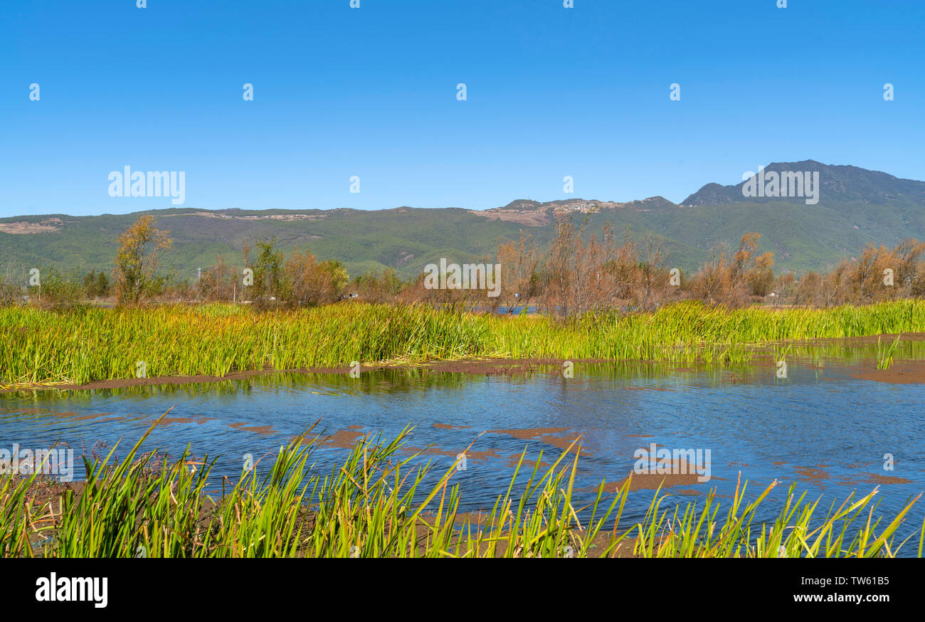 La city sea scenery Stock Photo Alamy