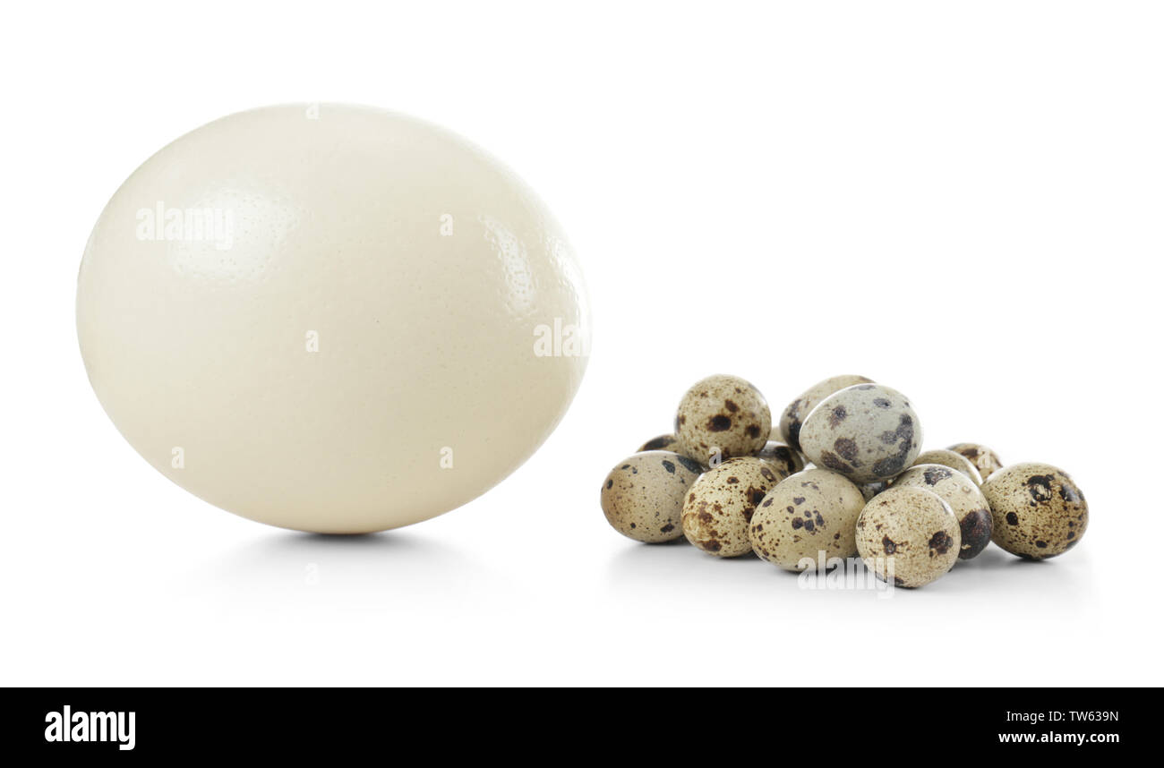 Ostrich and quail eggs on white background Stock Photo