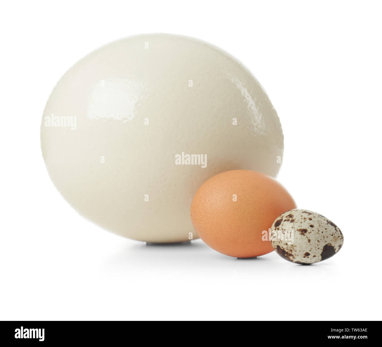 Ostrich, chicken and quail eggs on white background Stock Photo
