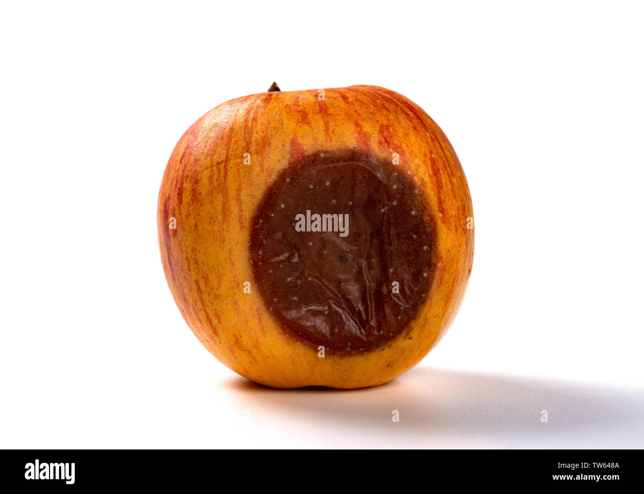 side view rotten apple on a white background Stock Photo - Alamy