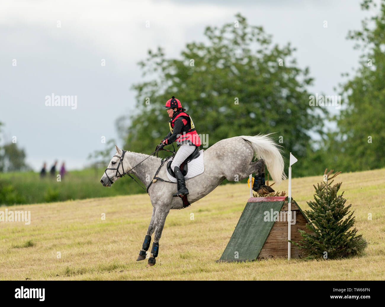 16 June 2019, Burgie House, Forres, Moray, Scotland, UK. This is a participant within the British Eventing Affiliated Event, Burgie Horse Trails. Stock Photo