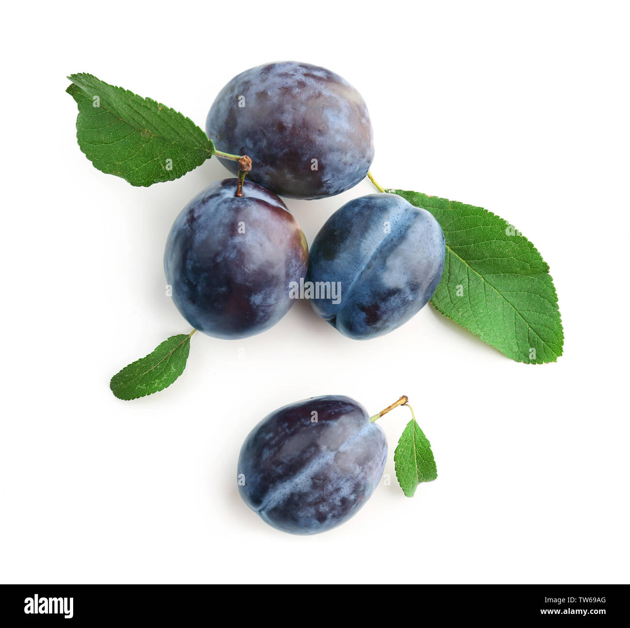 Plum tree fresh ripe plums Cut Out Stock Images & Pictures - Alamy