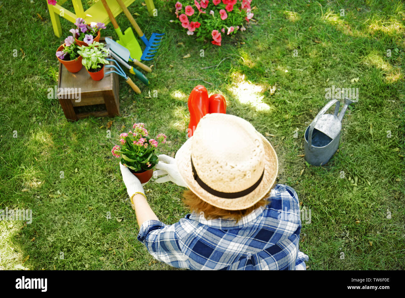 Woman taking care of plants in backyard Stock Photo