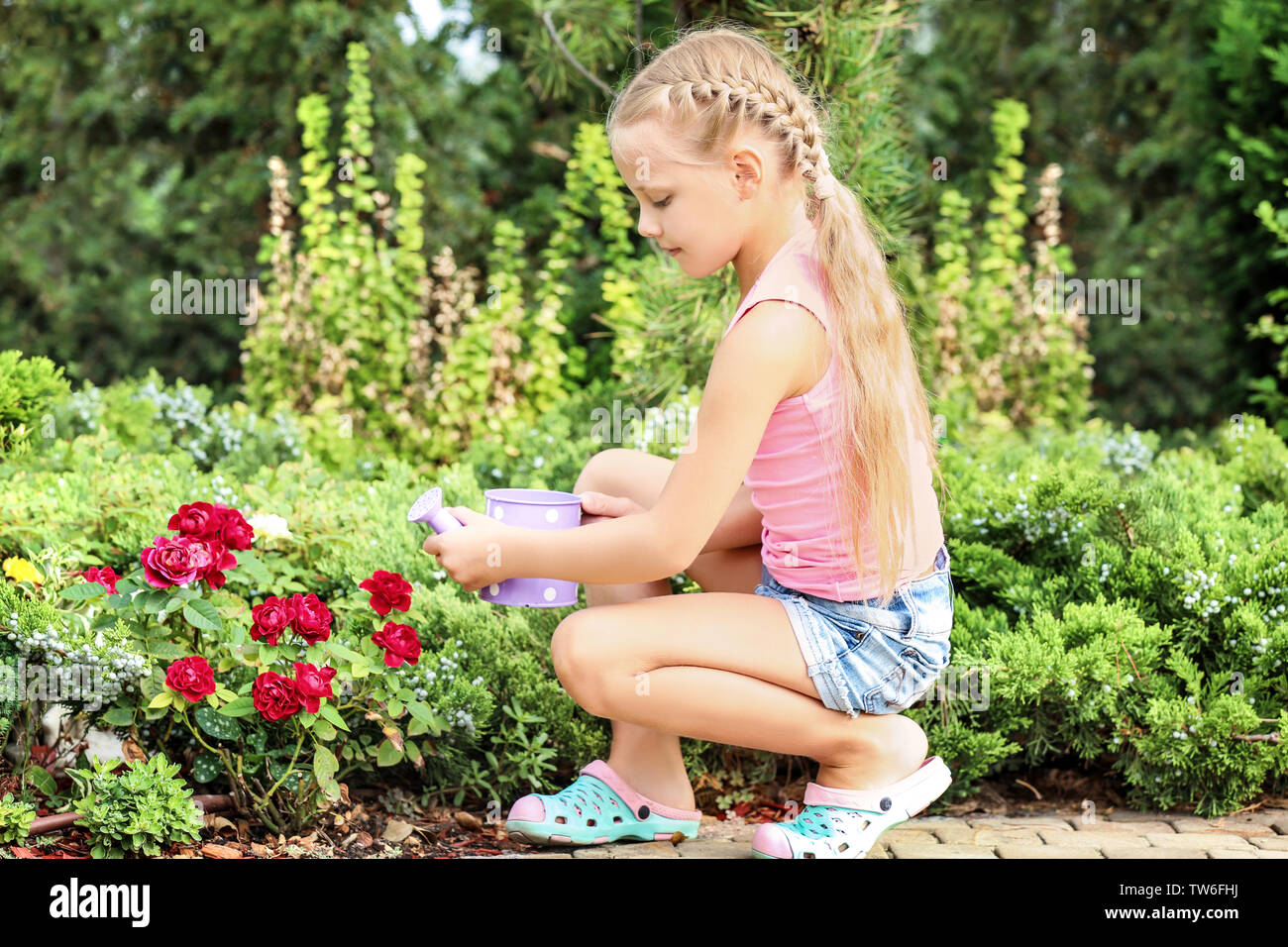 cutie little girl Cute little girl watering flowers in garden Stock Photo - Alamy