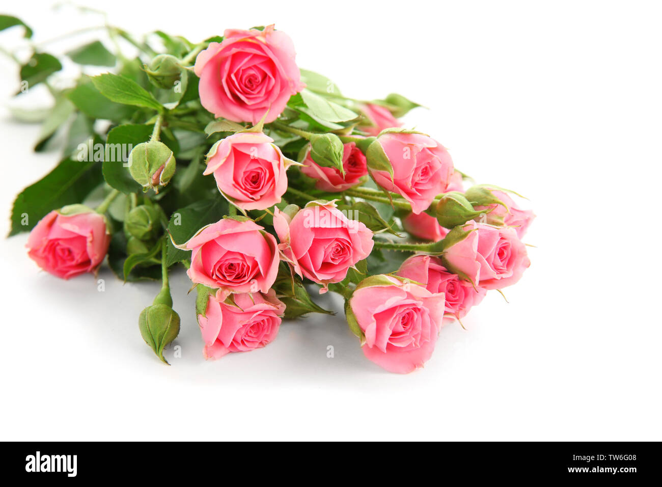 Beautiful roses on white background Stock Photo - Alamy