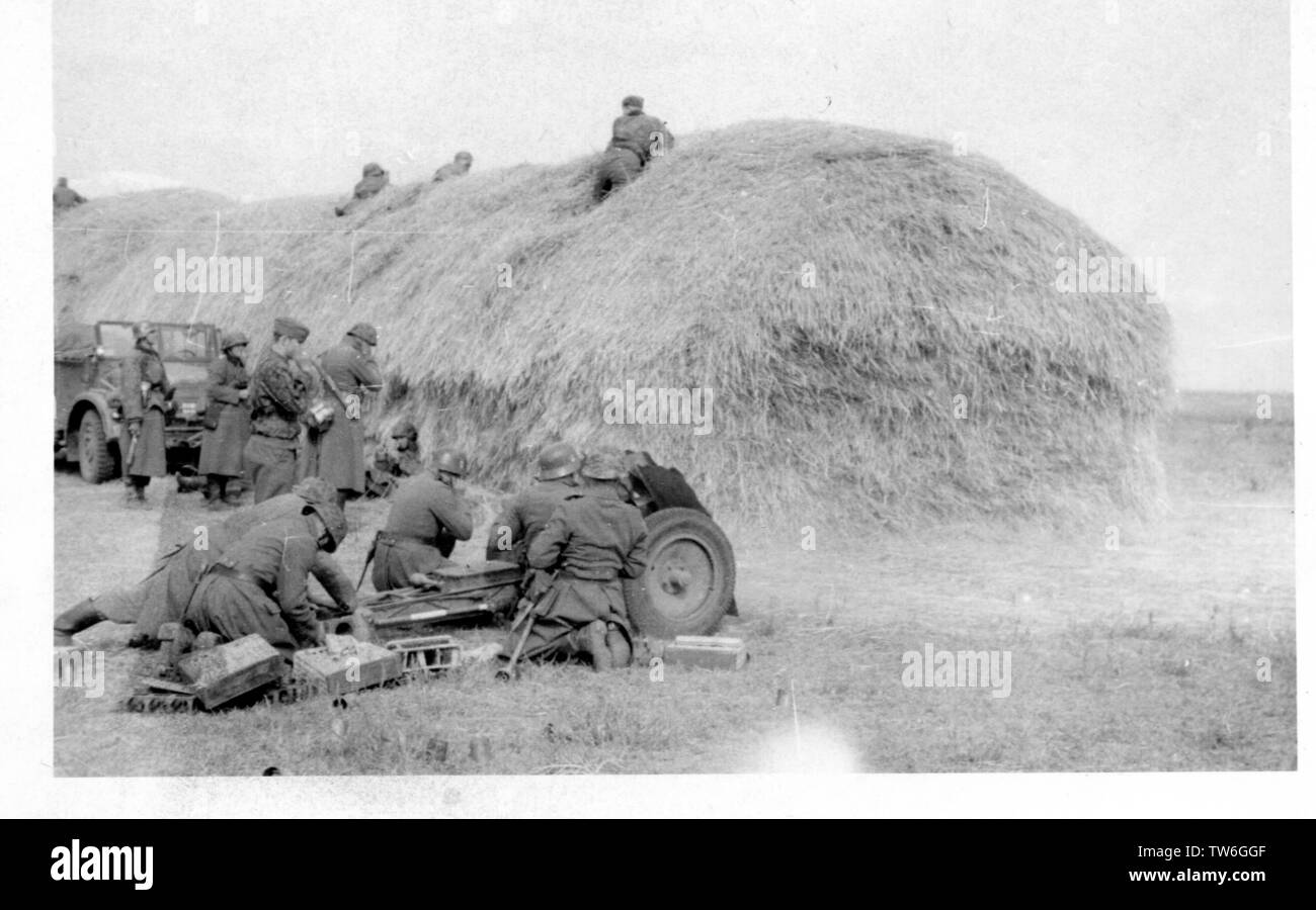 Waffen SS Troops fire a Light Infantry Gun on the Russian Front 1941 Stock Photo