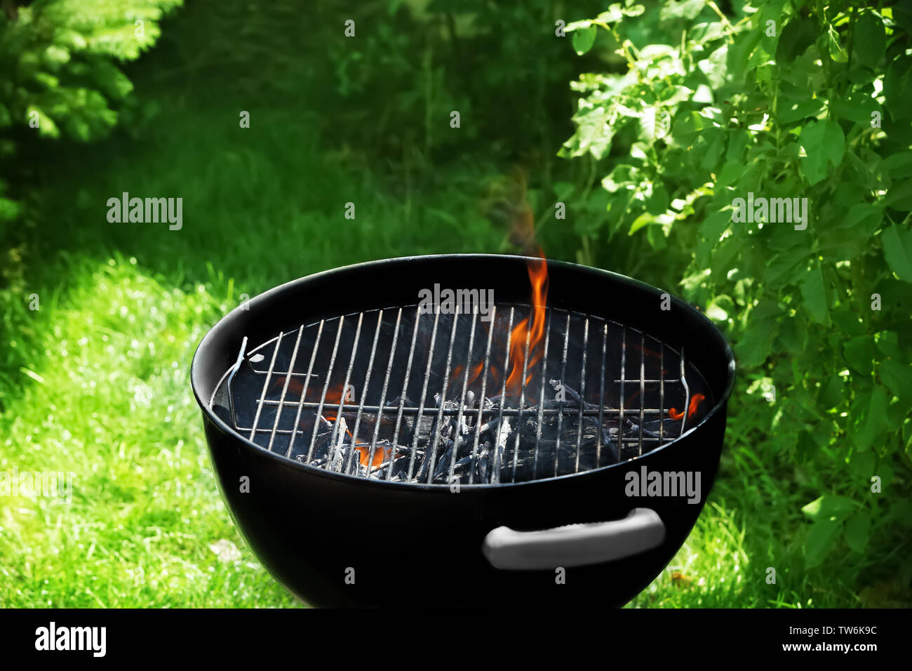 Barbecue grill on backyard Stock Photo - Alamy