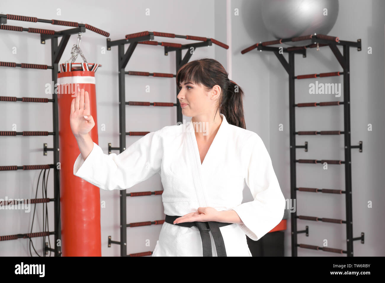Female karate instructor in dojo Stock Photo Alamy