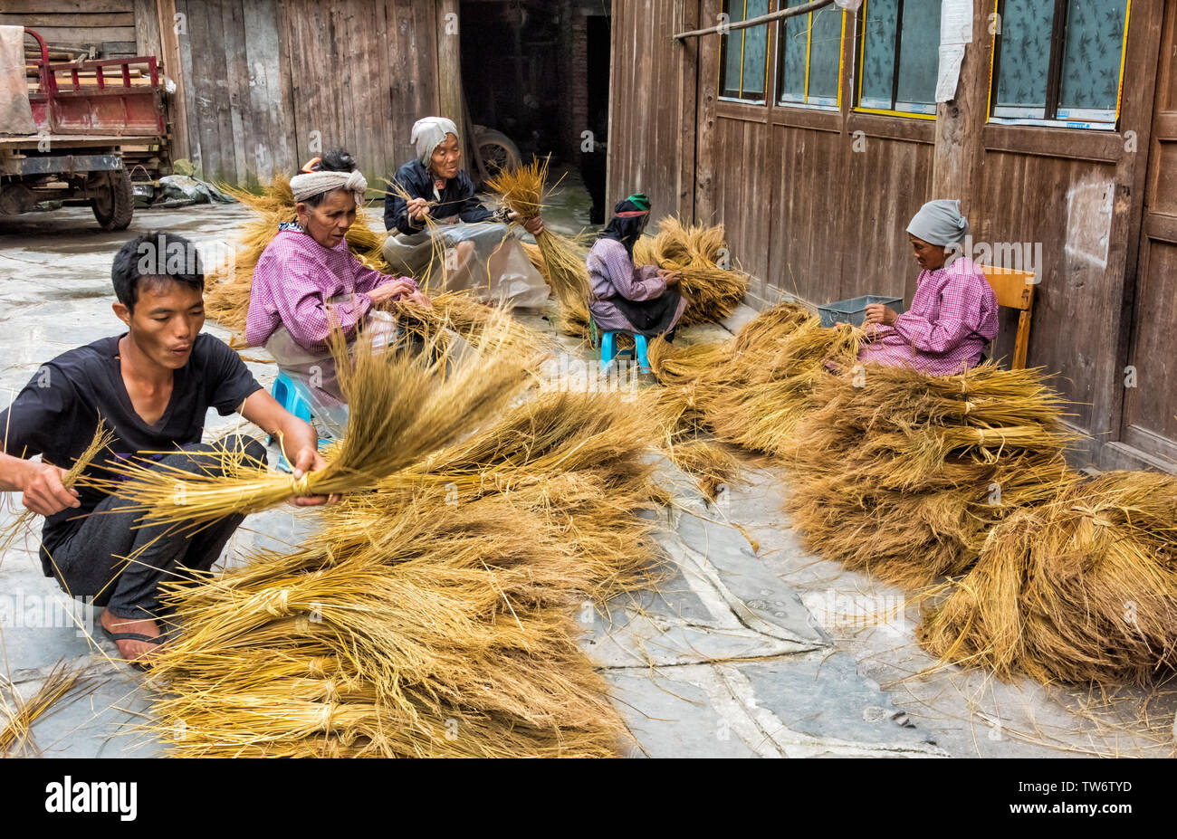 Dong people sorting straw to make rope in the village, Huanggang, Zhaoxing, Guizhou Province, China Stock Photo