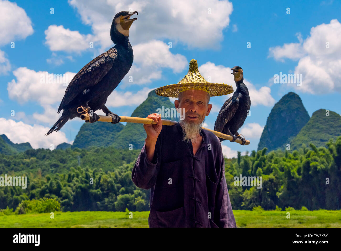 Old fisherman with cormorants, Yangshuo, Guangxi Province, China Stock Photo