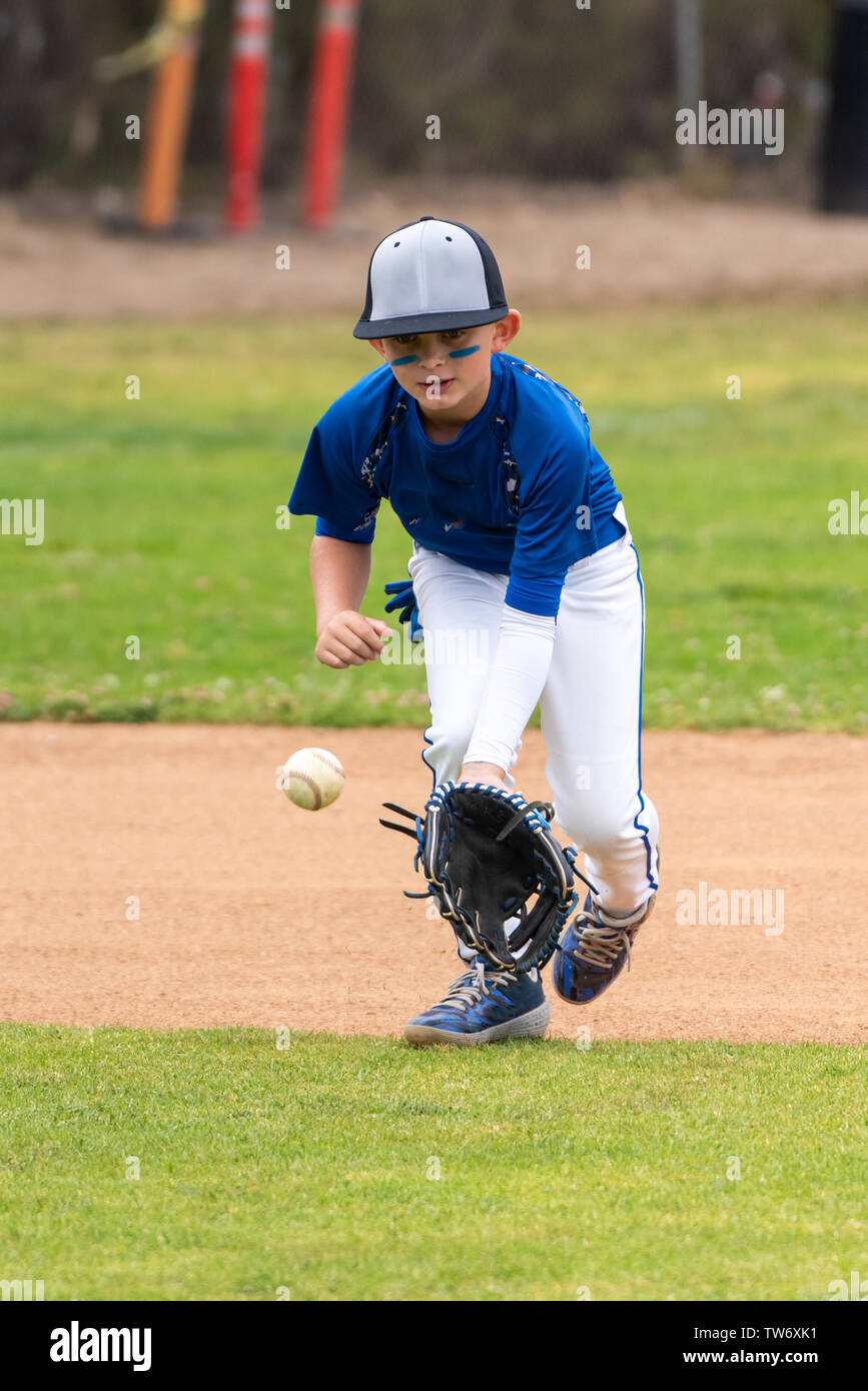 Youth baseball player in blue uniform keeping eyes on a ground ball into his glove in the infield during a game. Stock Photo