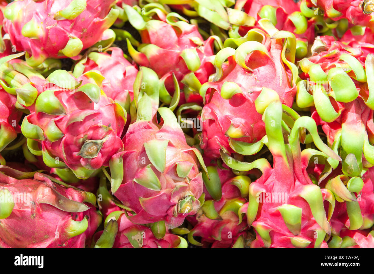 Jade dragon fruit hires stock photography and images Alamy