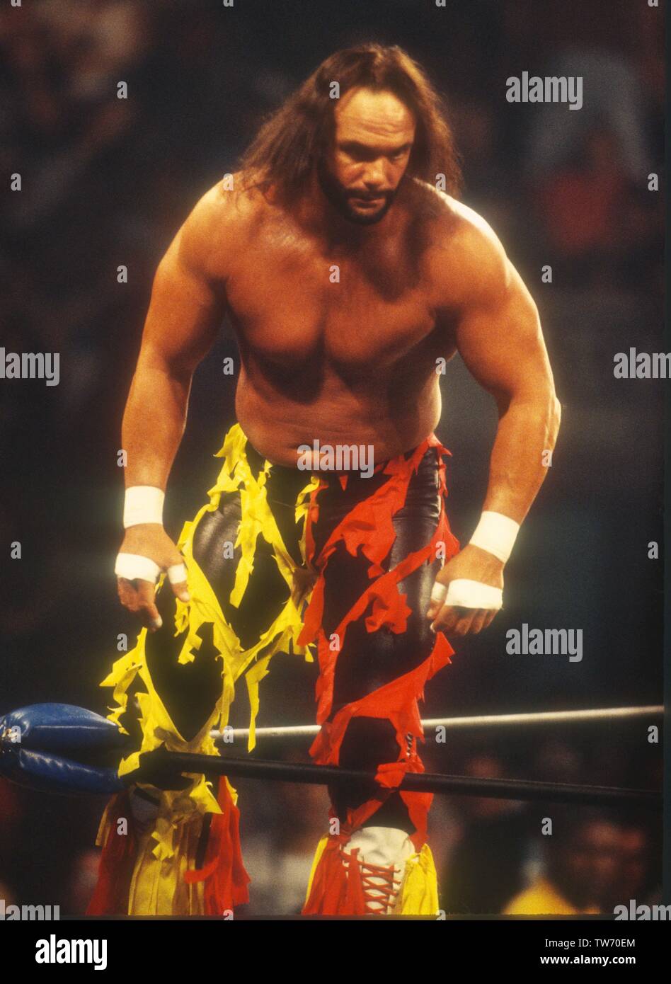 Randy Savage Pro Wrestler Akamacho Man Editorial Stock Photo