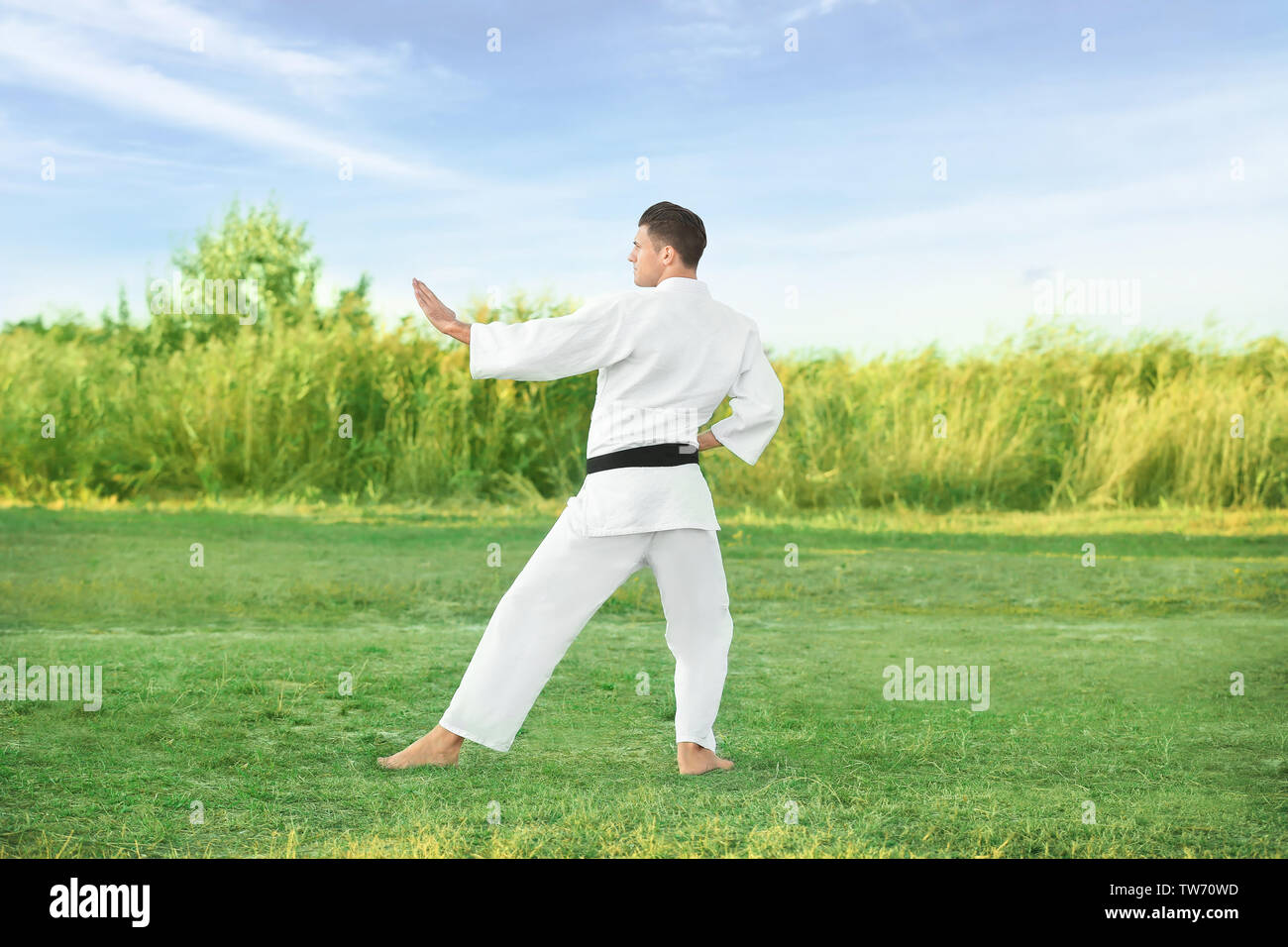 Young man practicing karate outdoors Stock Photo - Alamy