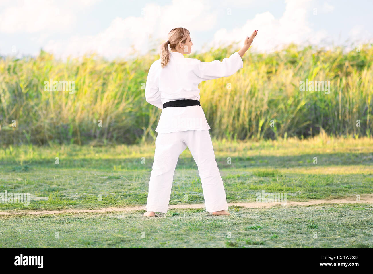 Young woman practicing karate hi-res stock photography and Young woman practicing karate hi-res stock photography and