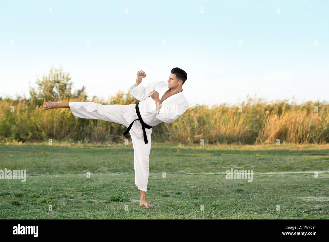 Young man practicing karate outdoors Stock Photo - Alamy
