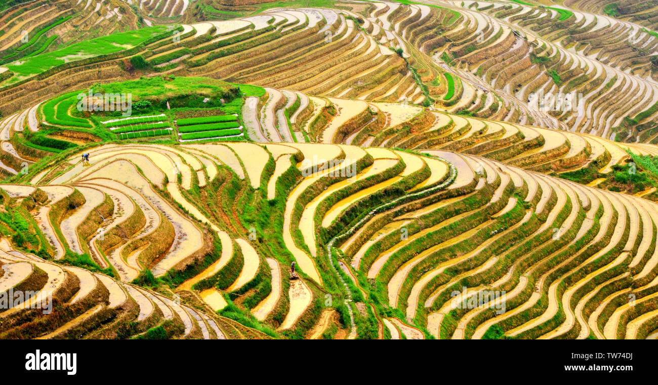 Dragon ridge terraces hi-res stock photography and images - Alamy