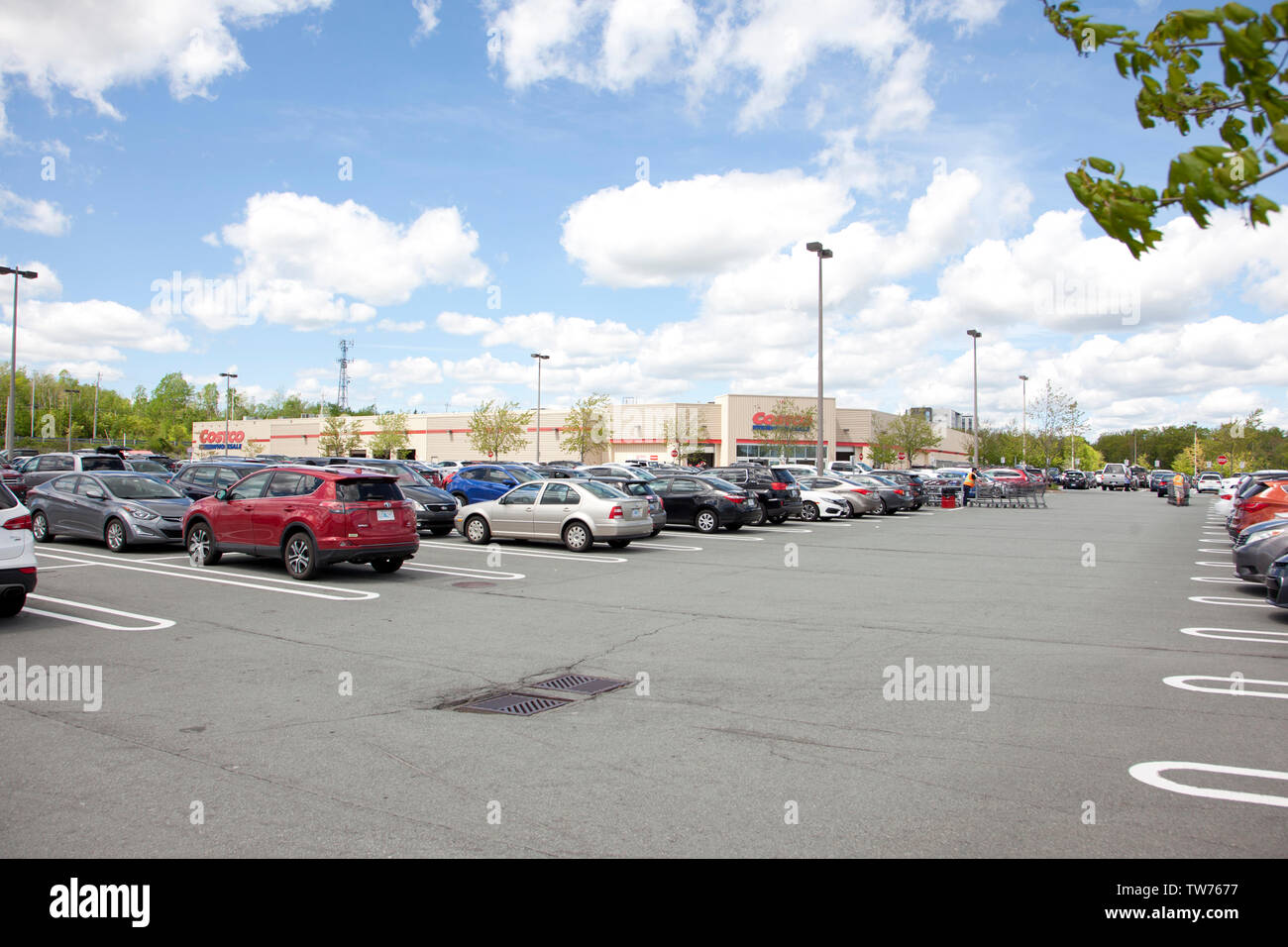 Costco shopping carts hires stock photography and images Alamy