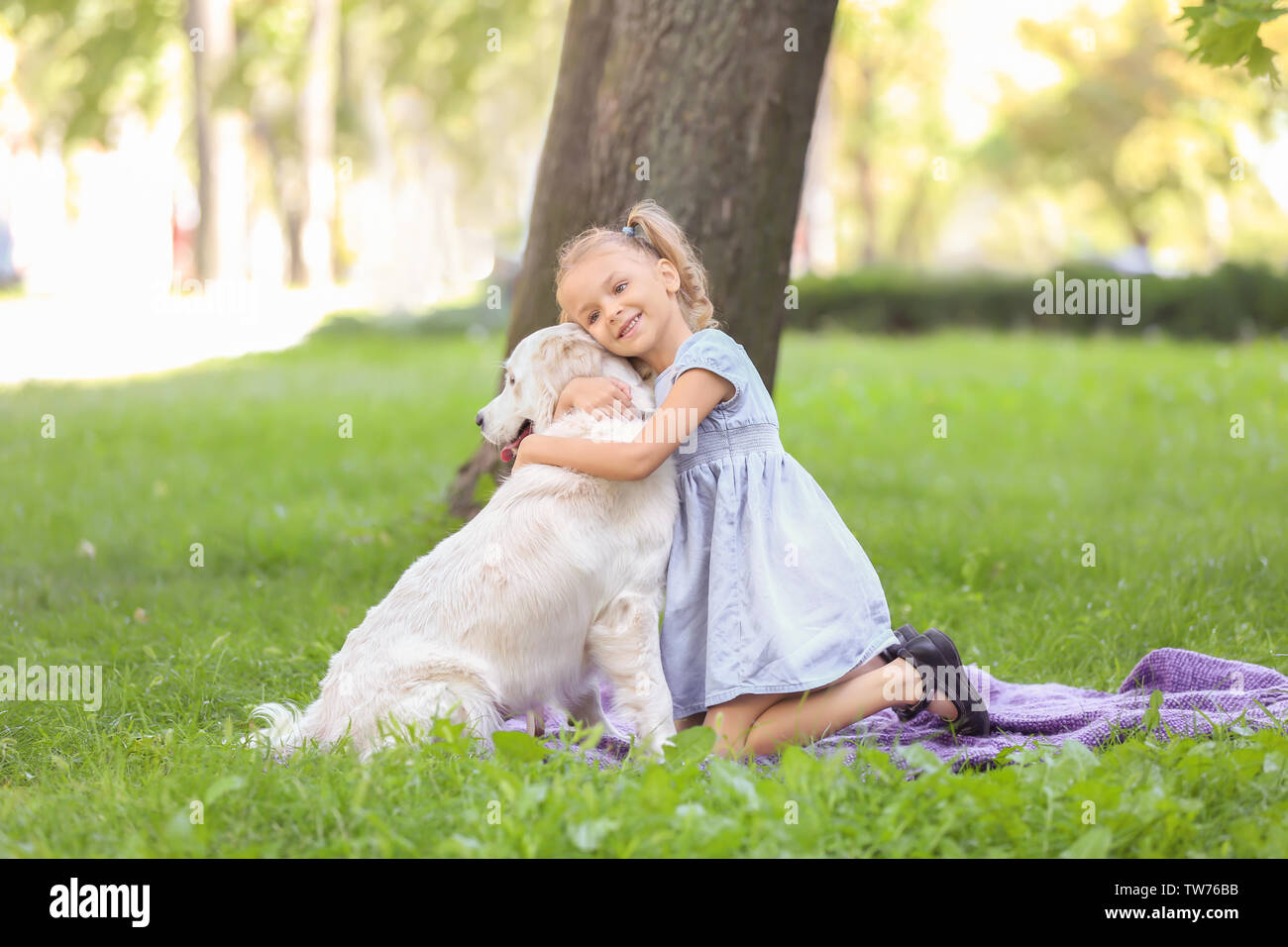 Cute little girl with dog in park Stock Photo - Alamy