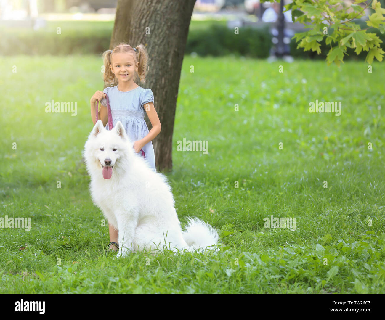 Cute little girl with dog in park Stock Photo - Alamy