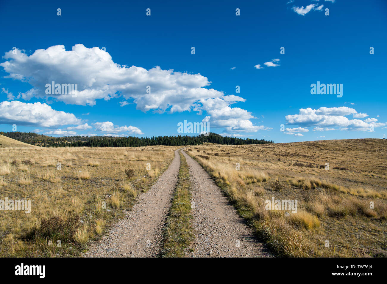 A gravel road curves through grassy fields and ranch land under a beautiful blue sky with white puffy clouds Stock Photo