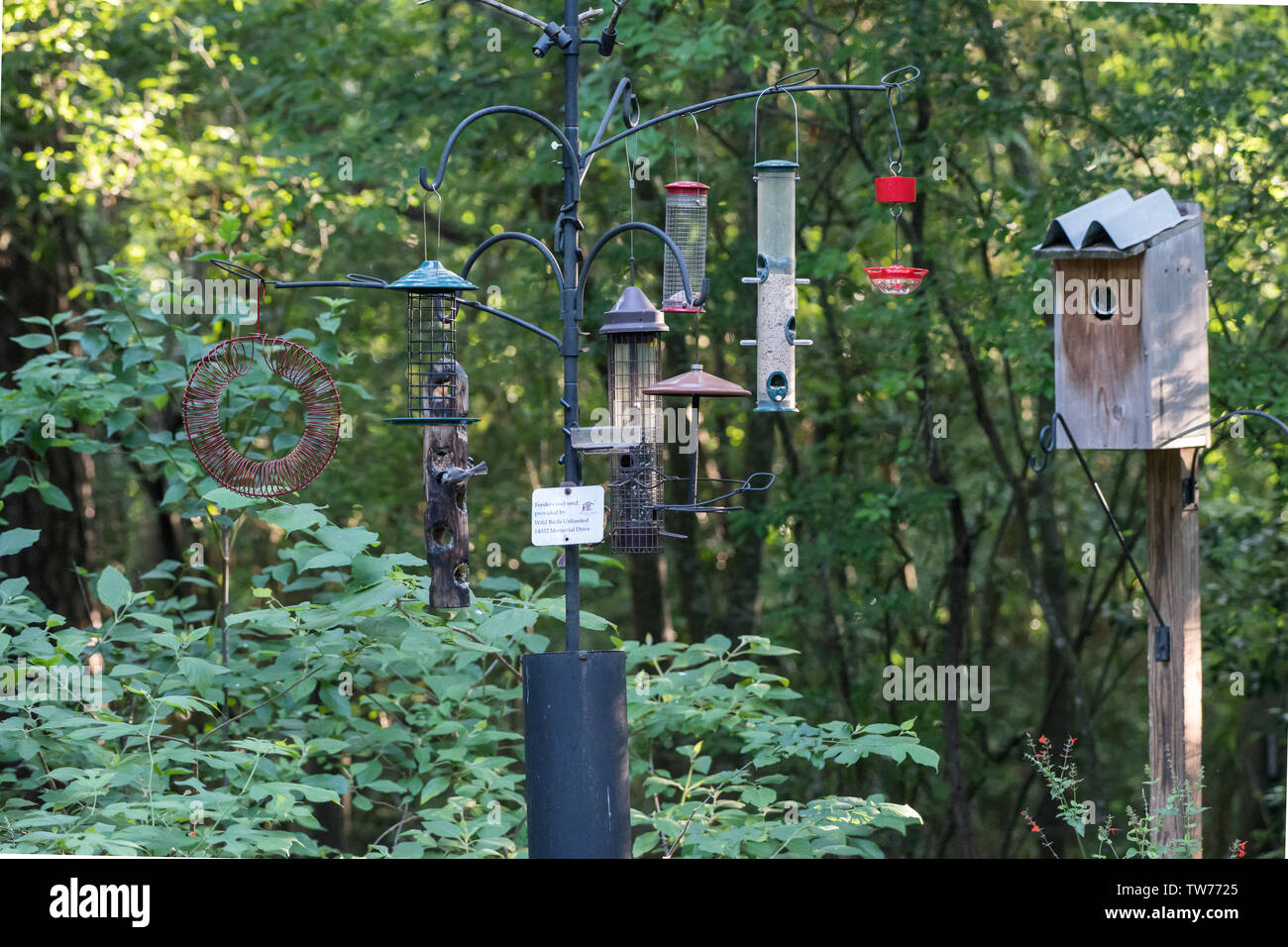 Bird feeders and bird house of various size and shape in back yard. Houston, Texas, USA. Stock Photo