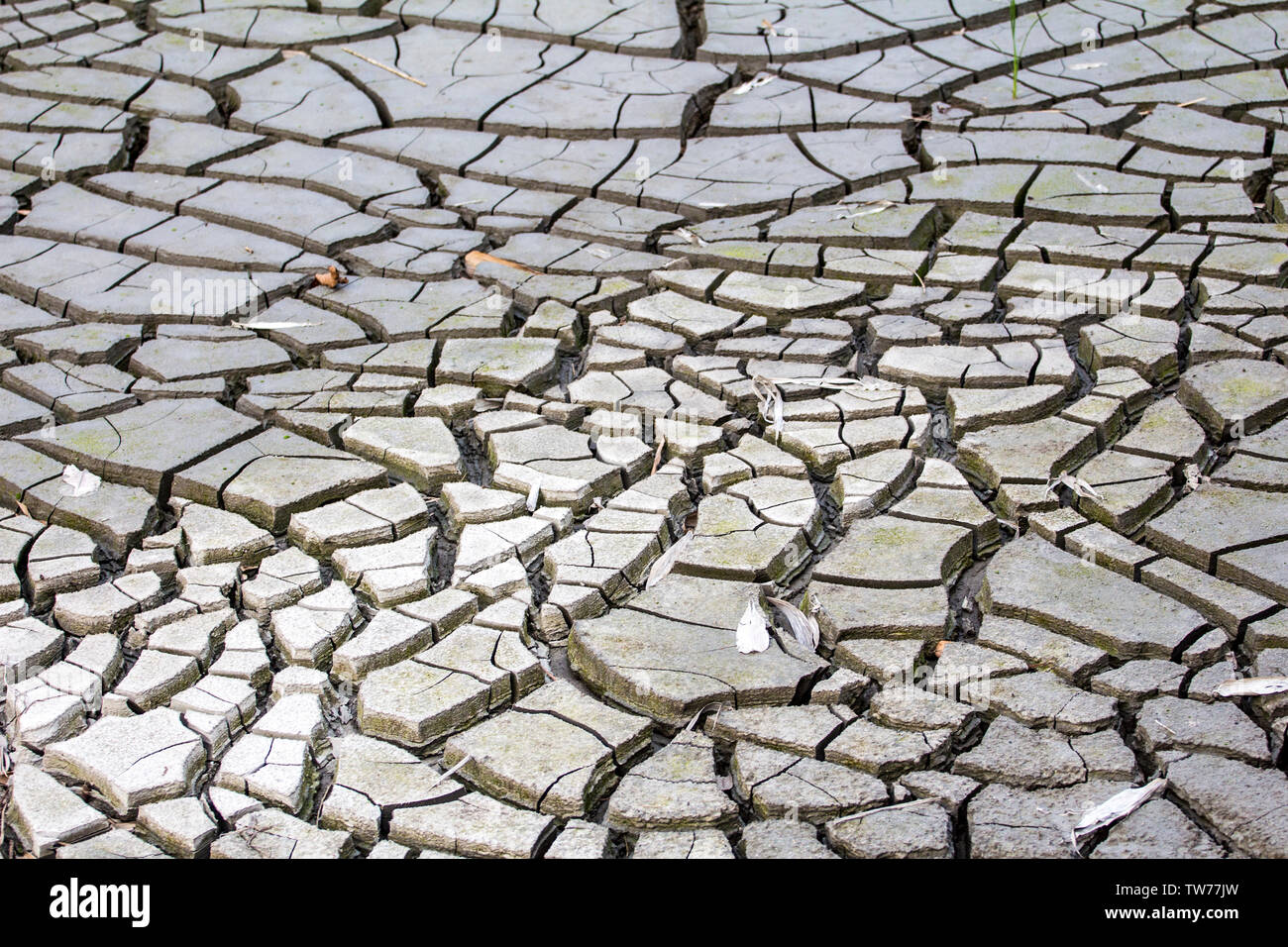 The cracked land Stock Photo - Alamy