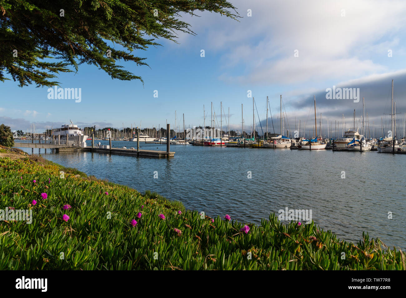 Boats at marina. Berkeley, California, USA. Stock Photo