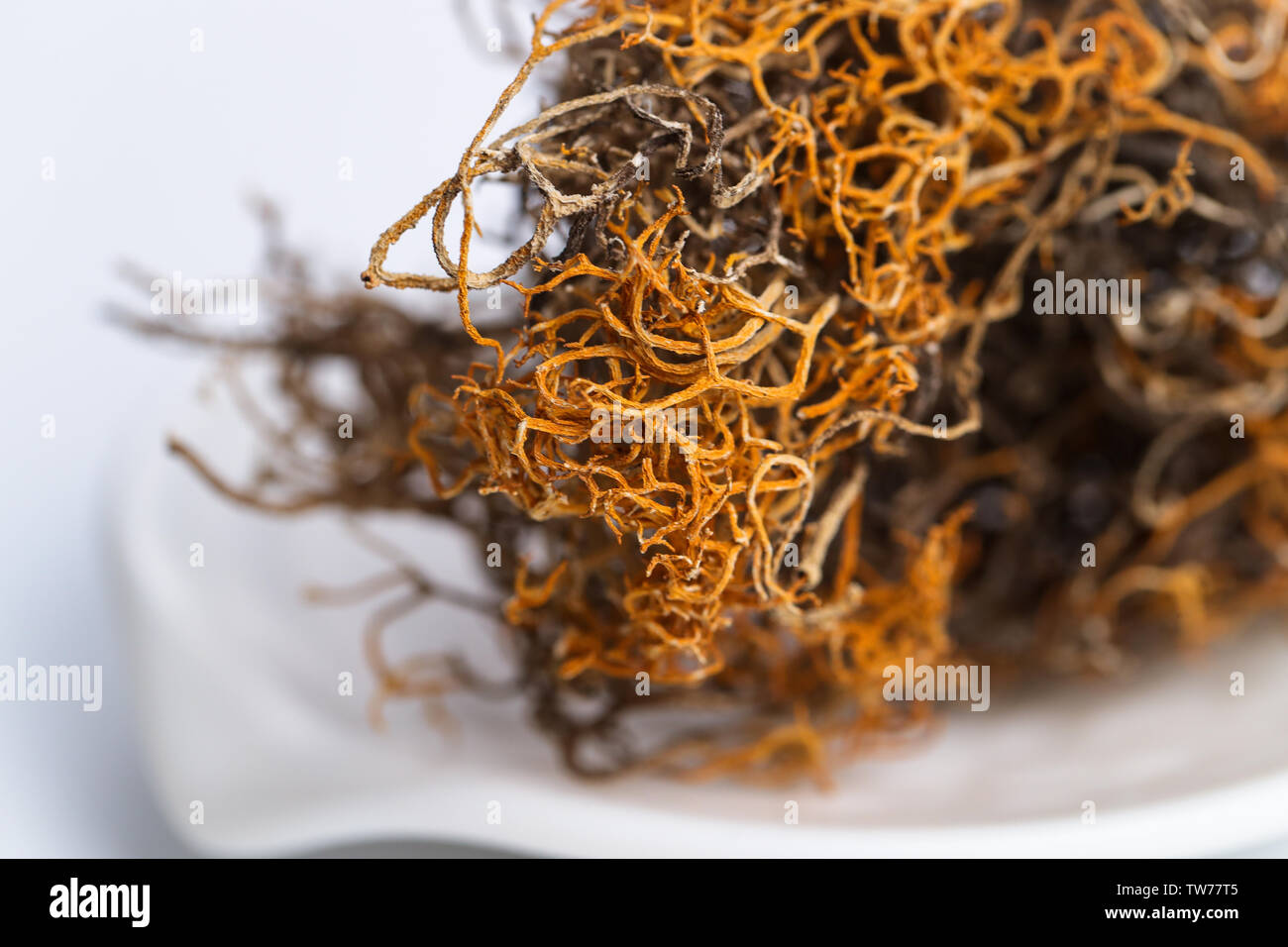 Black snow tea, gold silk tea Stock Photo Alamy