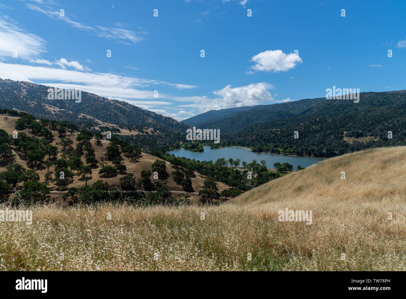 Lake surrounded by hills at the Del Valle Regional Park. Livermore, California, USA Stock Photo