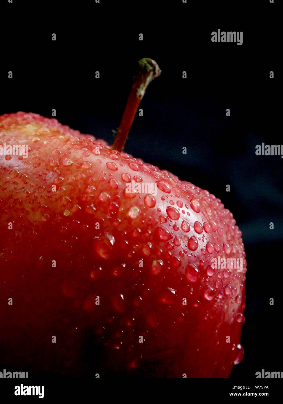 Green fruit, plant, red apple, apple, fruit, organic fruit Stock Photo