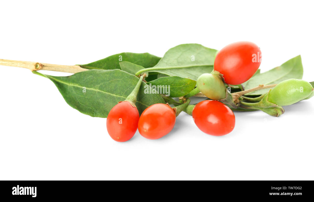 Twig with goji berries on white background Stock Photo